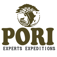 Pori Experts Logo